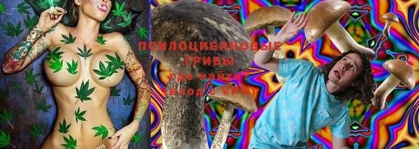 стафф Абинск