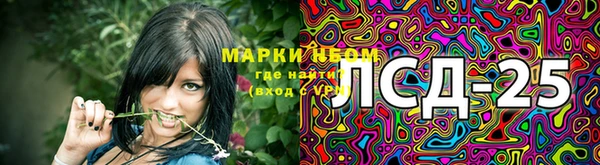 мяу мяу мука Абаза