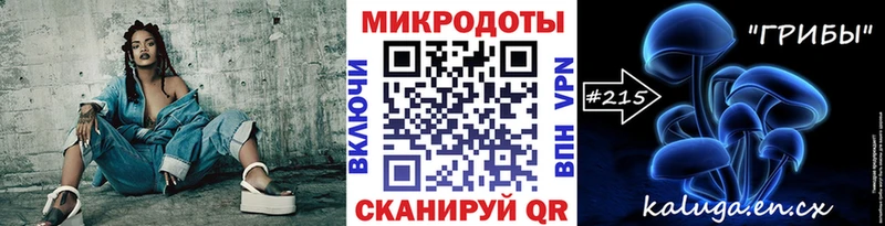 закладки  Владимир  Псилоцибиновые грибы мицелий 