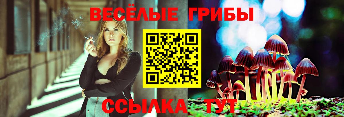 Галлюциногенные грибы мицелий  Вход с VPN  Владимир  Галлюциногенные грибы Psilocybine cubensis 
